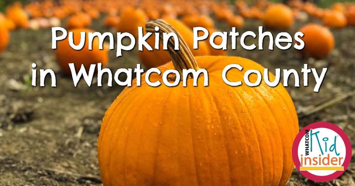 Pumpkin Patches in Whatcom County
